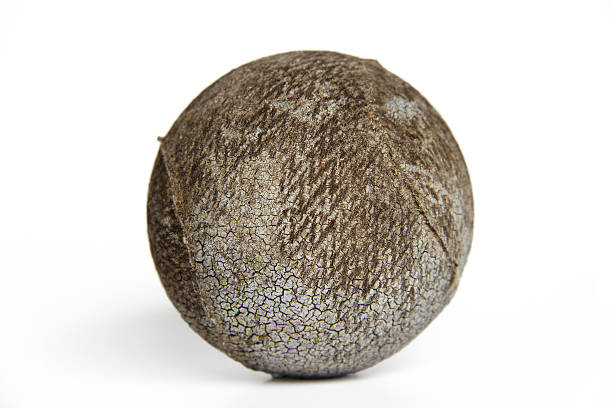 istock Very Old Tennis Ball 177296330