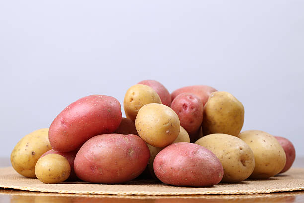 레드 및 화이트 감자 - raw potato red potato red nutrient 뉴스 사진 이미지