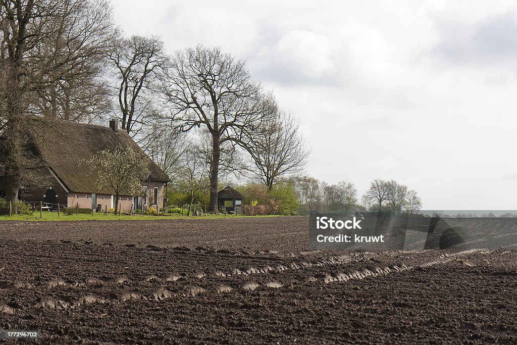 Bezlistne użytkach rolnych z Dom w gospodarstwie rolnym w Niderlandach - Zbiór zdjęć royalty-free (Dom - Budowla mieszkaniowa)