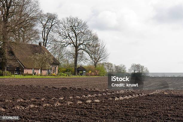 Bezlistne Użytkach Rolnych Z Dom W Gospodarstwie Rolnym W Niderlandach - zdjęcia stockowe i więcej obrazów Dom - Budowla mieszkaniowa