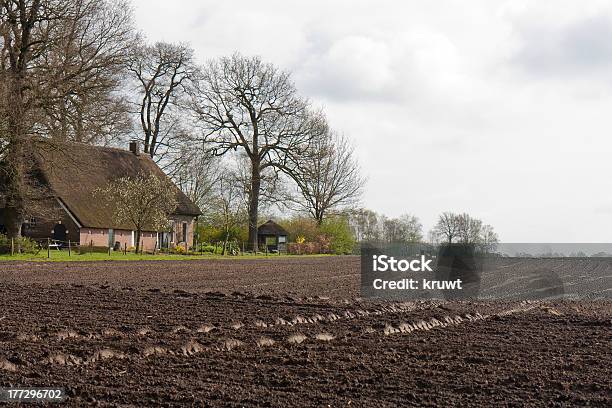 Terras Desprotegido Com Casa De Quinta Na Holanda - Fotografias de stock e mais imagens de Casa - Casa, Drenthe, Agricultura