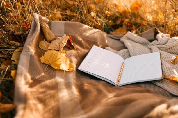 istock Paper planner on blanket outdoors, autumn concept 1772969982