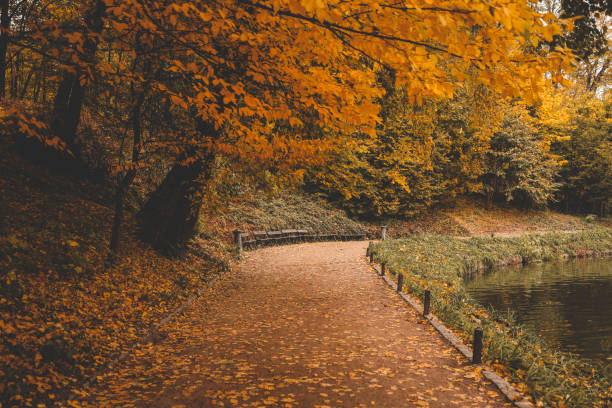 istock Autumn Park Leaf Fall, beautiful picture 1772970004