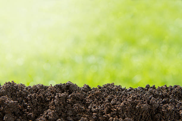 Nature background with copy space Pile of soil against green defocused background with copy space extreme close up of blades of grass stock pictures, royalty-free photos & images