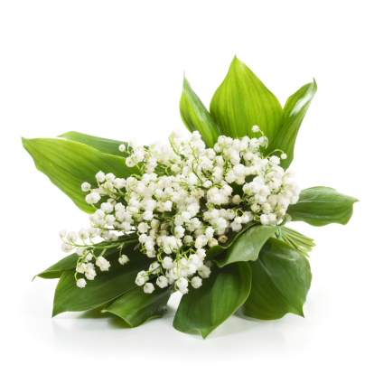 A DSLR photo of Lily-Of-The-Valley (Convallaria Majalis) - bouquet of forest flowers on a beautiful defocused lights bokeh background.