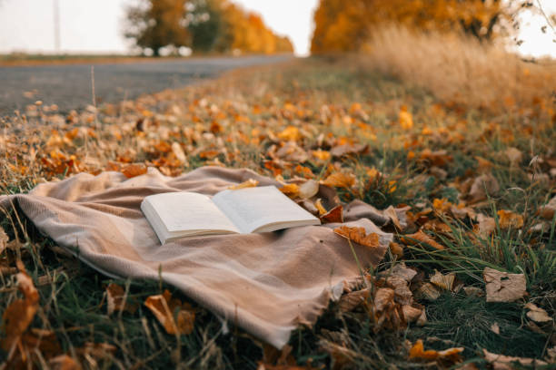 istock Open book on a blanket in the autumn forest 1772975979