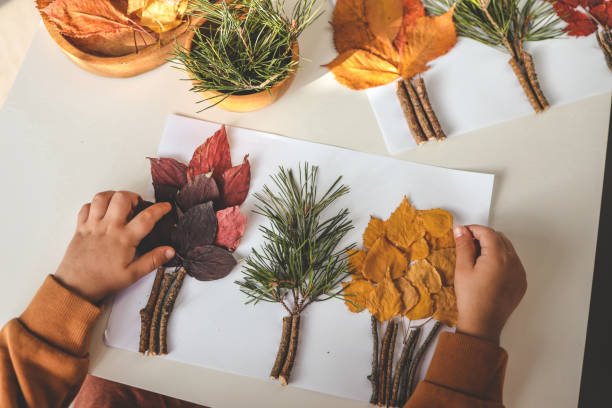 istock Children's creativity, child's study of natural materials, application top view 1772977631