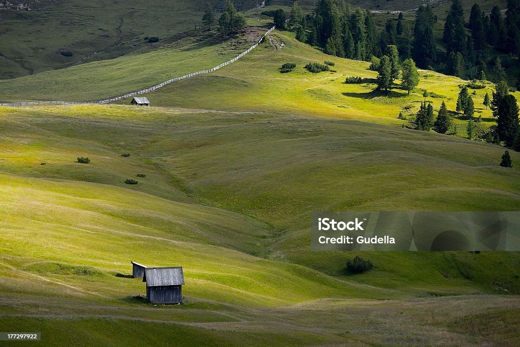 Field - Lizenzfrei Alpen Stock-Foto