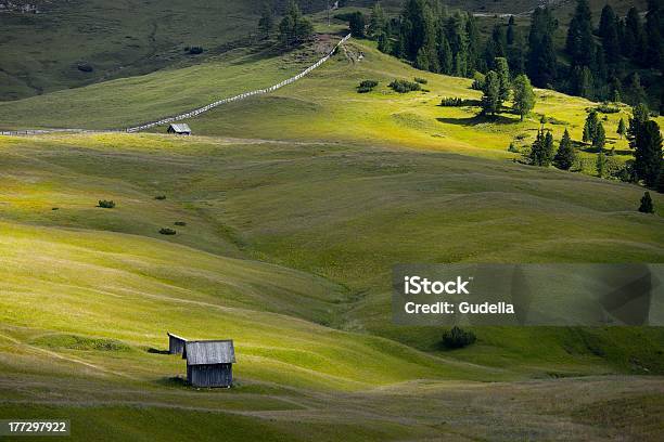 Field Stockfoto und mehr Bilder von Alpen - Alpen, Anhöhe, Berg
