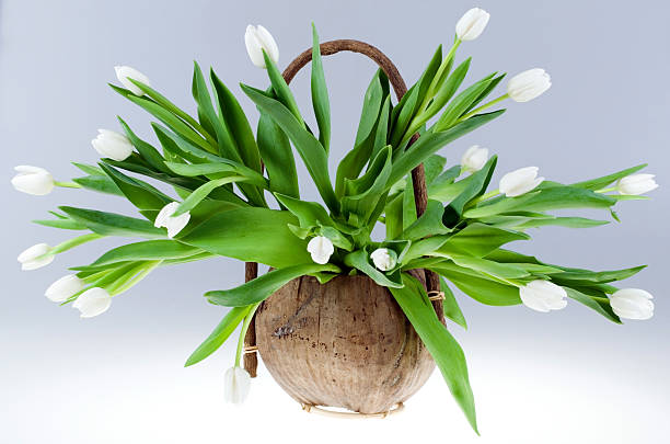 istock Bouquet of white tulips. 177297941