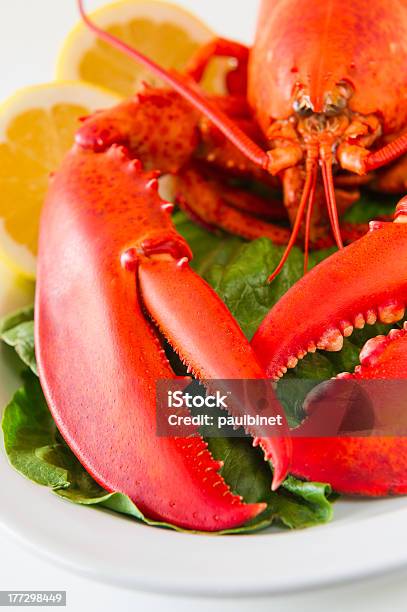 Photo libre de droit de Homard Repas Dans Une Plaque Blanche banque d'images et plus d'images libres de droit de Aliment - Aliment, Aliment cuit à l'eau, Aliments et boissons