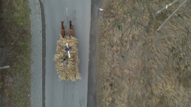 Aerial view of pair of horses pulling old wooden cart full of dry hay with peasant men on it