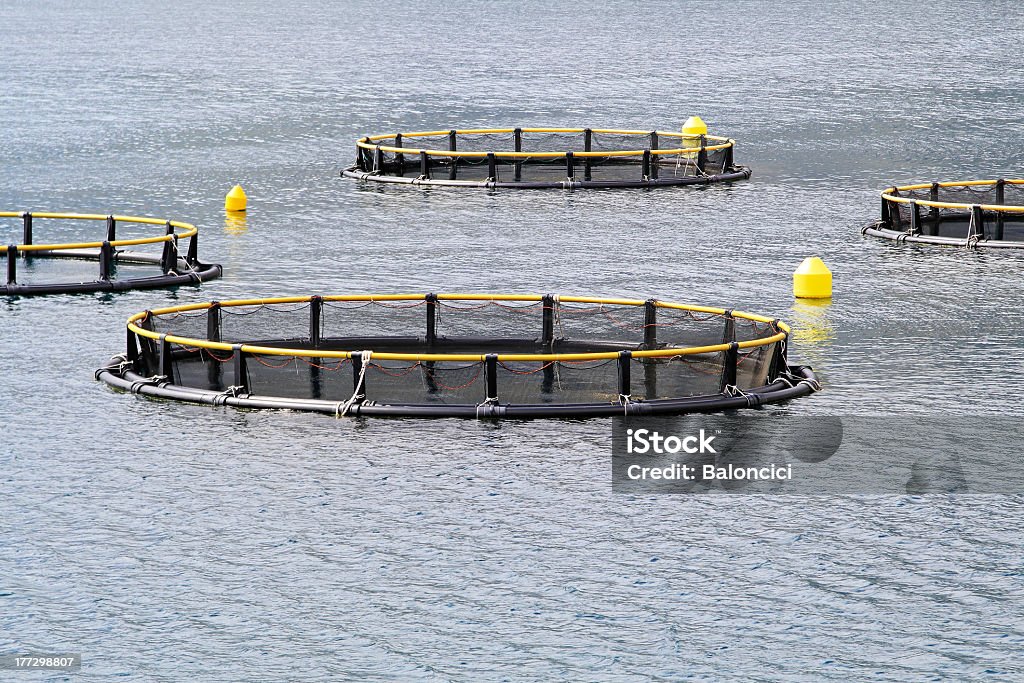 Aqua farming Round net for aqua farming fish industry Adriatic Sea Stock Photo