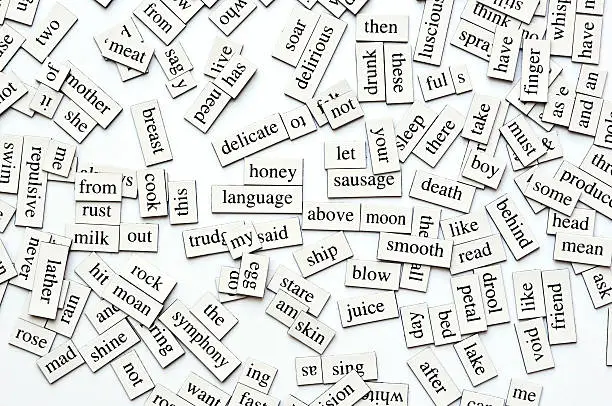 Photo of Magnetic Words Collection