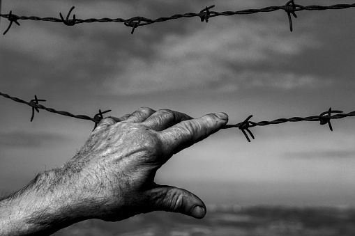 A hand seeks freedom on barbed wire