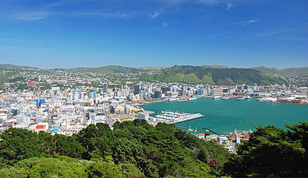 istock Wellington, New Zealand 177300192
