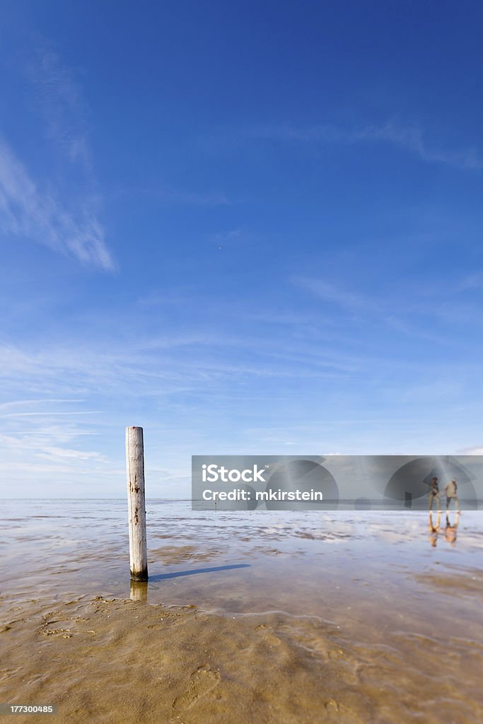 Pile in Mud "Wooden pile in Mud while low tide in the german north sea, using a tilt and shift lens" Active Seniors Stock Photo