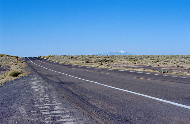 istock Desertic road in USA 177300584