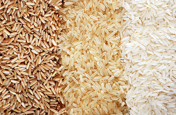 three rows of сортов риса-brown, wild and white. - brown rice basmati rice rice cereal стоковые фото и изображения