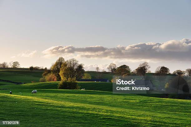 Pacífica Paz No Mundo Rural Definição - Fotografias de stock e mais imagens de Agricultura - Agricultura, Amanhecer, Animal