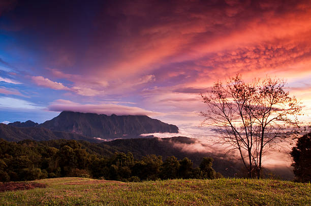 istock Beautiful sunrise in Chiangdao. 177301993