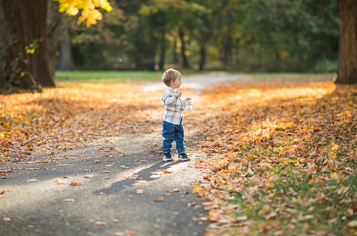 Kids outdoor fun in autumn. Happy kid boy walking in the Autumn Park. Autumn portrait of beautiful preschool boy in the park.