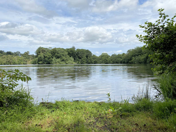 istock A view of Blake Mere Lake 1773031166