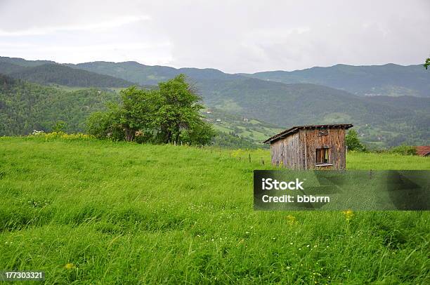 Cabaña De Madera En Valley Foto de stock y más banco de imágenes de Abandonado - Abandonado, Agricultura, Aire libre