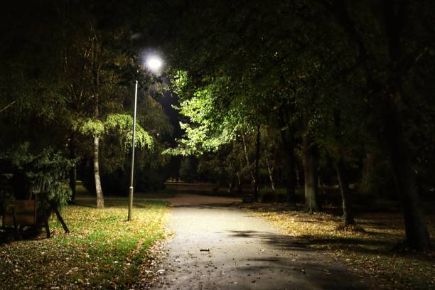 istock Public Park at Night in the City 1773035496