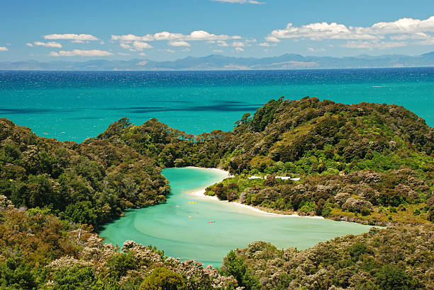 park narodowy abel tasman - abel tasman national park zdjęcia i obrazy z banku zdjęć