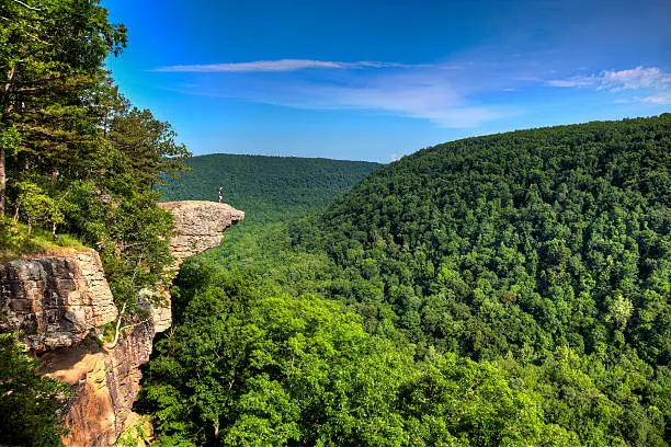 This famous place on the Whitaker's Point trail is the number 1 most photographed spot in Arkansas. A male hiker stands on the edge of the Hawksbill Crag in Arkansas and enjoys the view standing hundreds of feet above the Ozark mountains forest below.