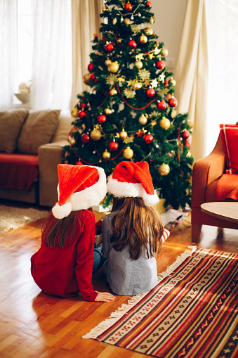 Rear view of two teenage girls with Santa hat sitting in front of Christmas tree