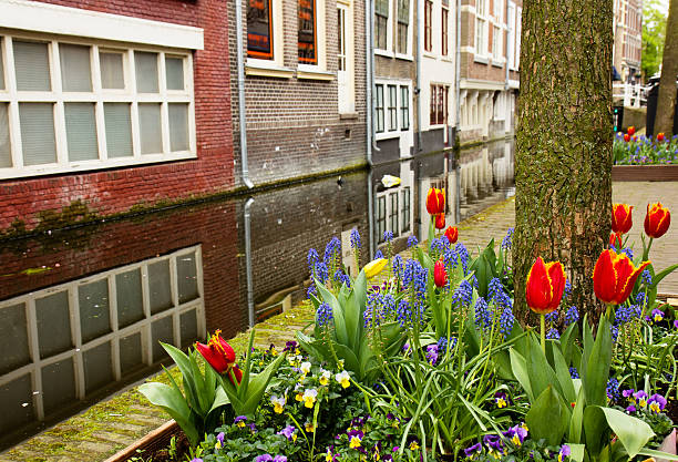 street of 델프트, 홀란트 - delft europe spring old town 뉴스 사진 이미지