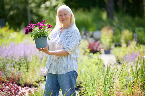 Portrait Of Senior Female Customer In Garden Centre Choosing Plant