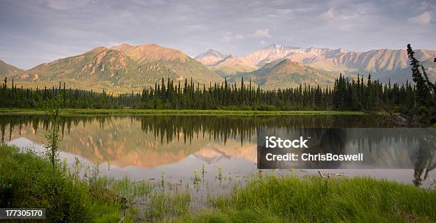 Alaska Glenn Highway Route 1 Paisaje De Montaña Lago Marsh Foto de stock y más banco de imágenes de Alaska - Estado de los EE. UU.