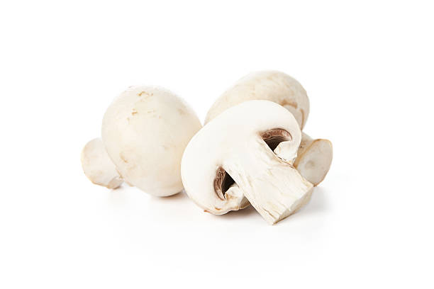 hongos frescos - edible mushroom white mushroom isolated white fotografías e imágenes de stock