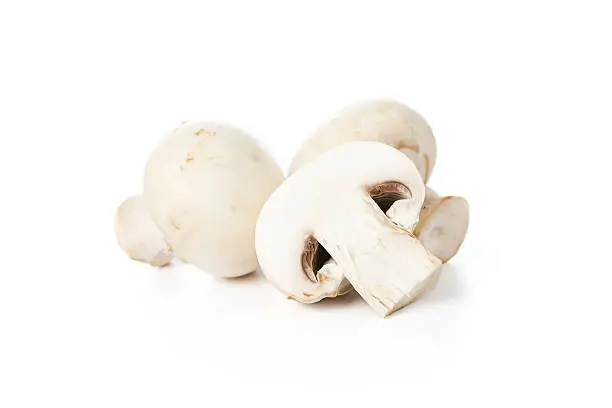 Photo of Fresh mushrooms