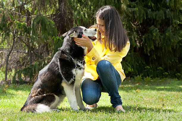 istock girl and her husky 177305631
