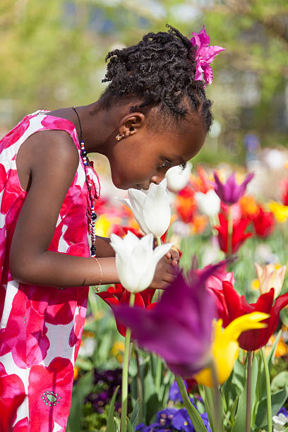 linda pequena garota afro-americana tocando no jardim - child little girls single flower flower - fotografias e filmes do acervo