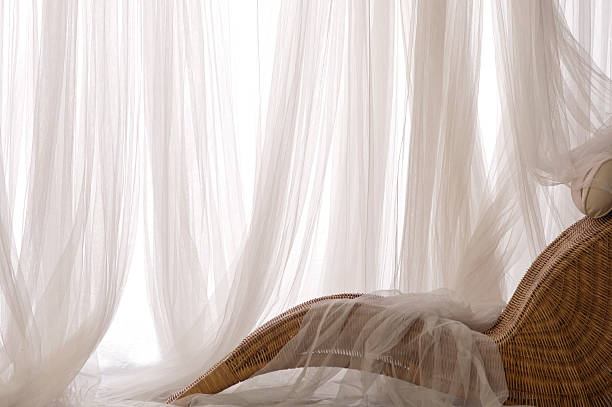 istock Rattan Chair on Against White Curtains 177306275
