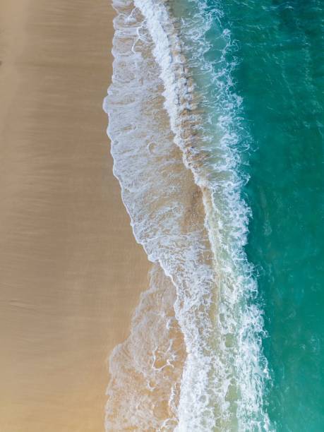 istock Golden shore of a tranquil beach 1773062773