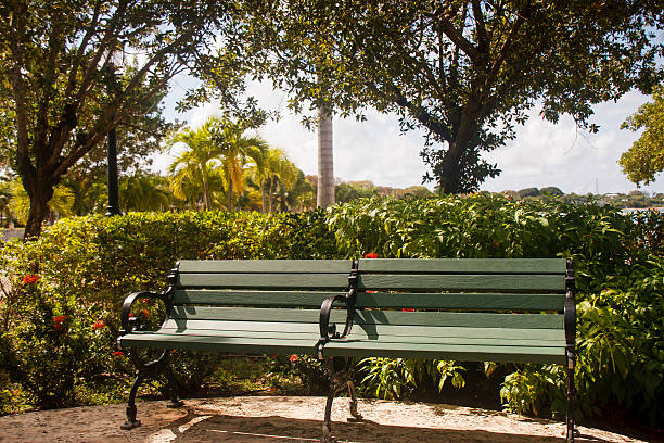 Green Wood and Iron Bench by Shrubbery stock photo