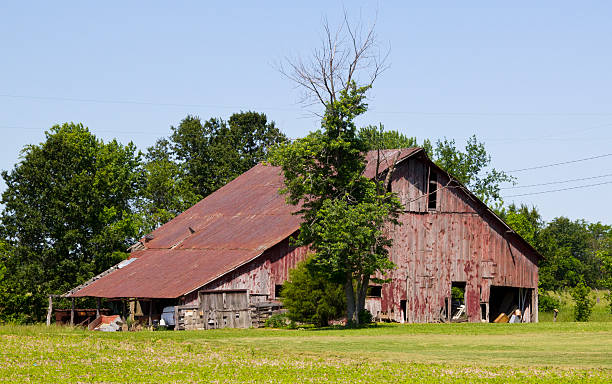 Old Wood Barn with trees stock photo