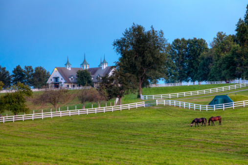 Night scene with a horse farm in Central Kentucky