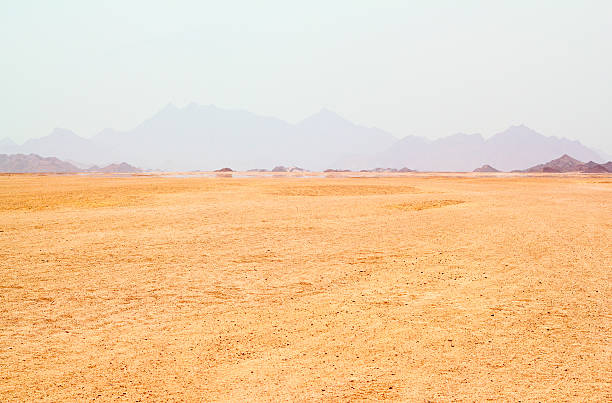 désert du sahara - heat haze illusion desert heat photos et images de collection