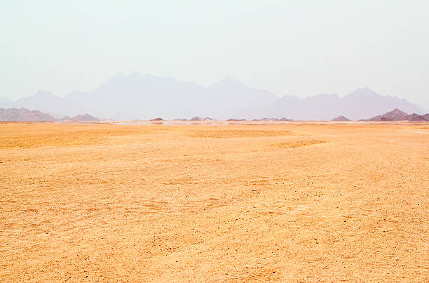 deserto del sahara - heat haze illusion desert heat foto e immagini stock