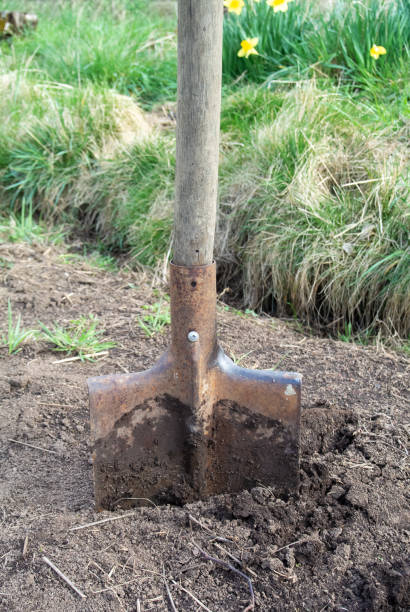 istock A dirty old shovel is embedded in the ground. 1773076436