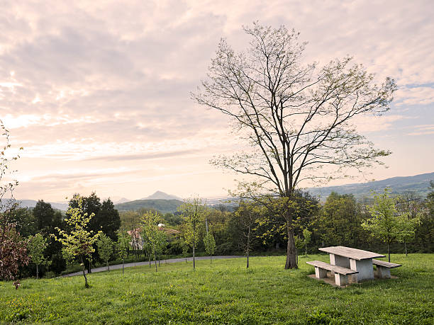 Picnic table stock photo