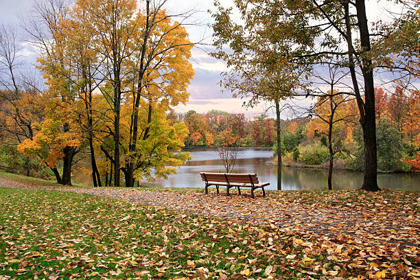 istock Autumn In The Park 177308170