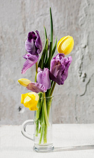 istock bouquet of bright little tulips 177308953